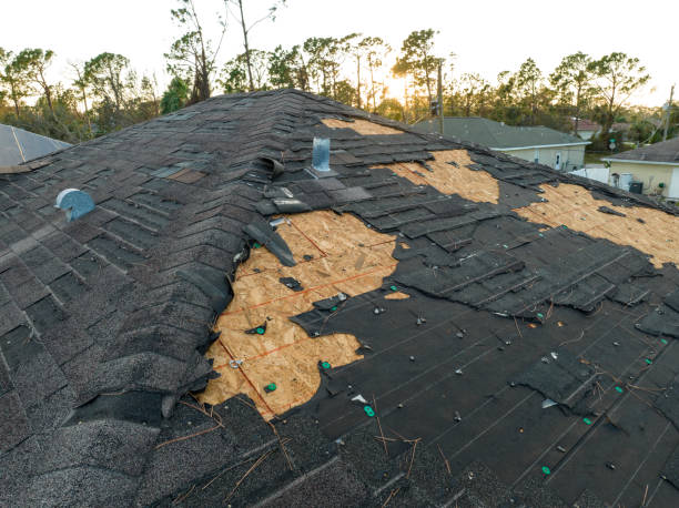 Best Cold Roofs  in Progreso, TX